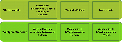 Curriculum des Master of Science in BWL